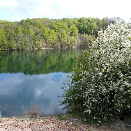 Domek Pod Swierkiem Wapnica  Bagian luar foto