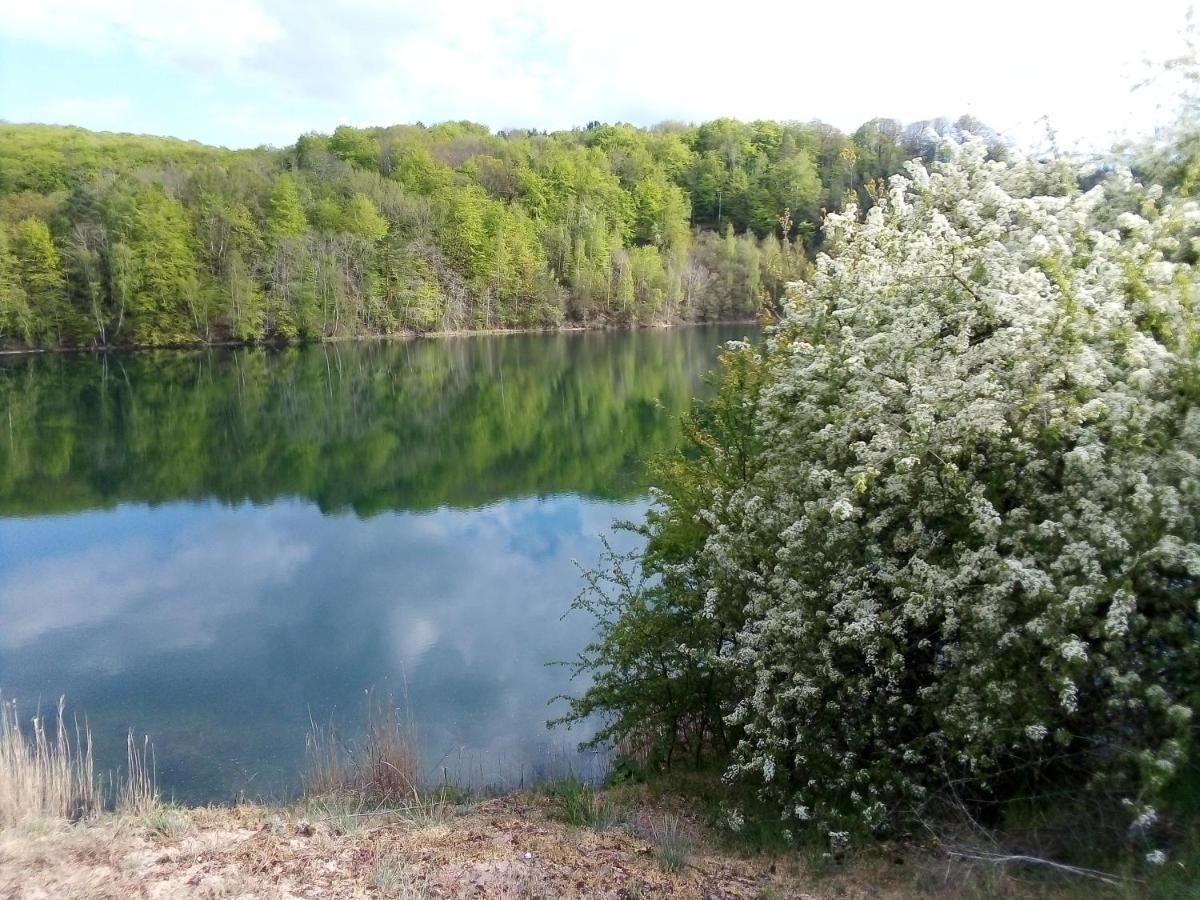 Domek Pod Swierkiem Wapnica  Bagian luar foto